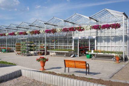 Ogród Niemczewskich