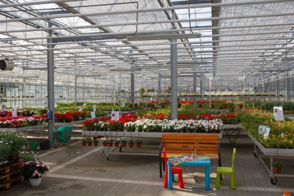 Ogród Niemczewskich