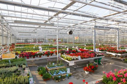 Ogród Niemczewskich