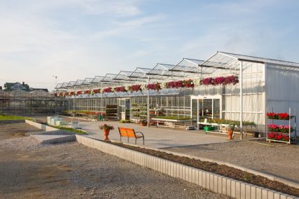 Ogród Niemczewskich